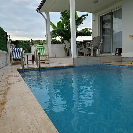 Lavender * ダラマン