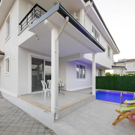 Lavender ダラマン