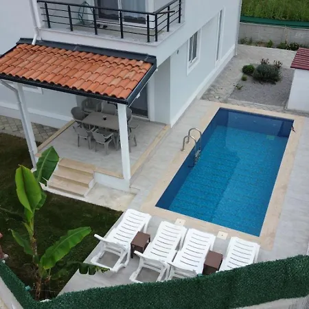 Lavender * ダラマン